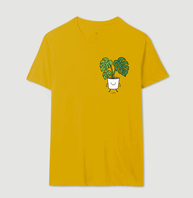 Monstera (Costela de Adão) - Imagem 11