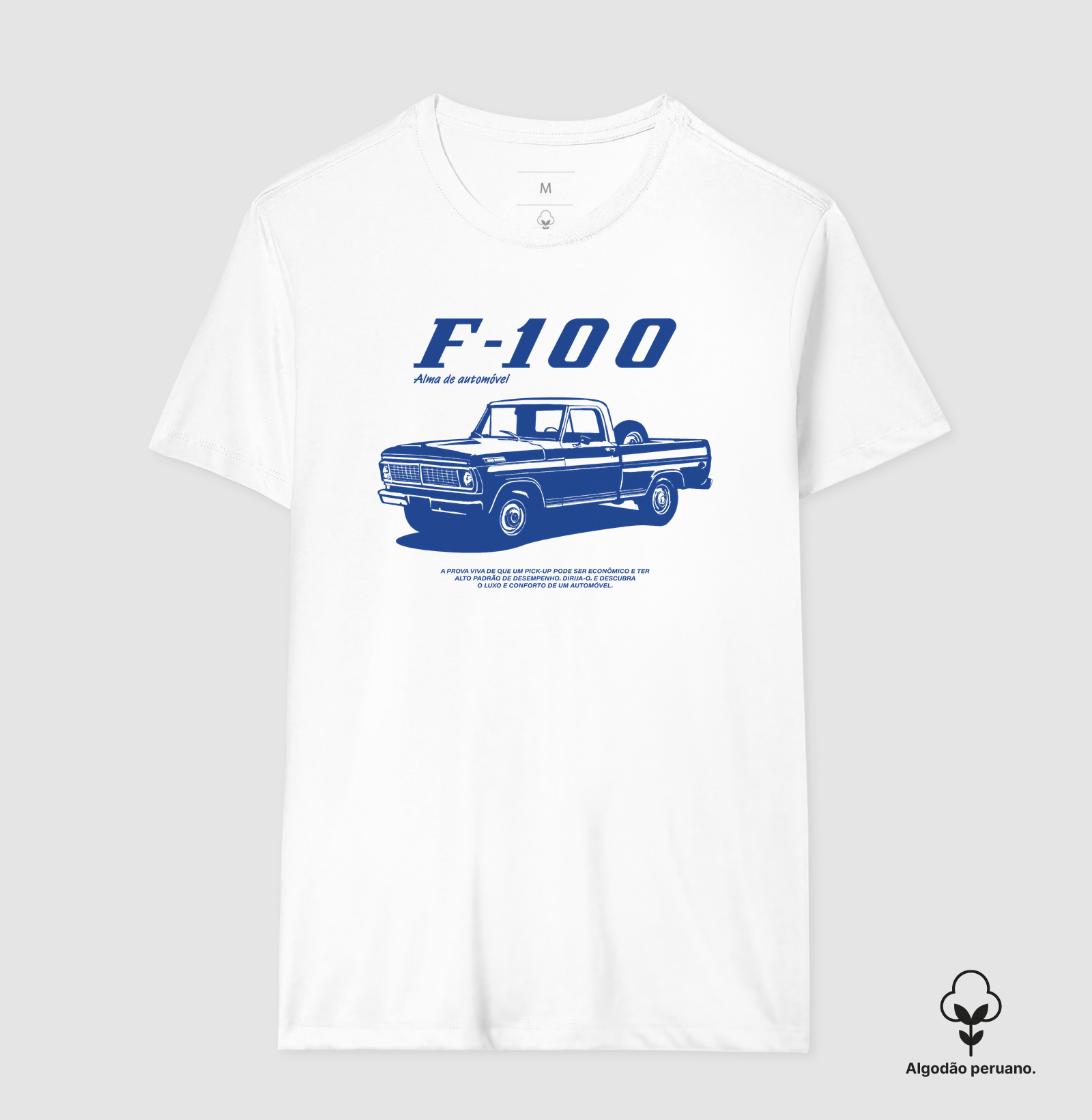 F-100 | Alma de Automóvel - Imagem 5