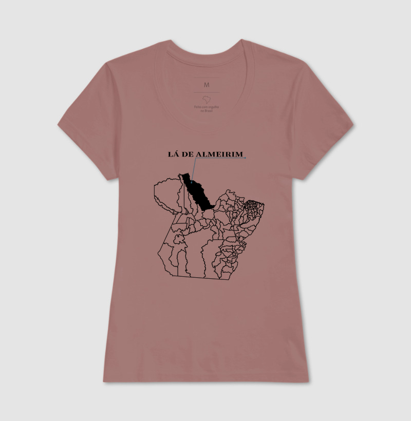 Almeirim | Origem PA - Imagem 17