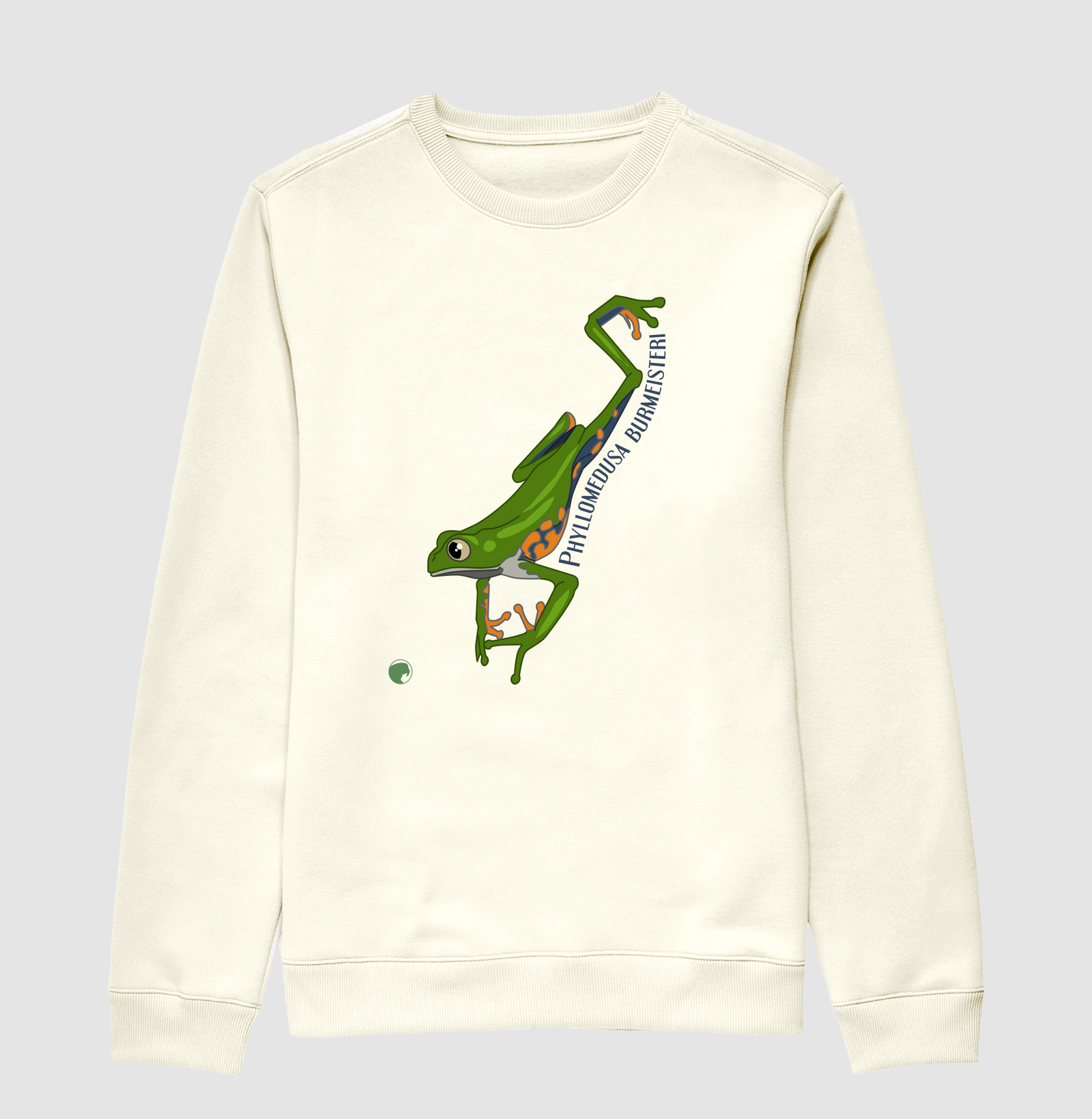 Phyllomedusa burmeisteri