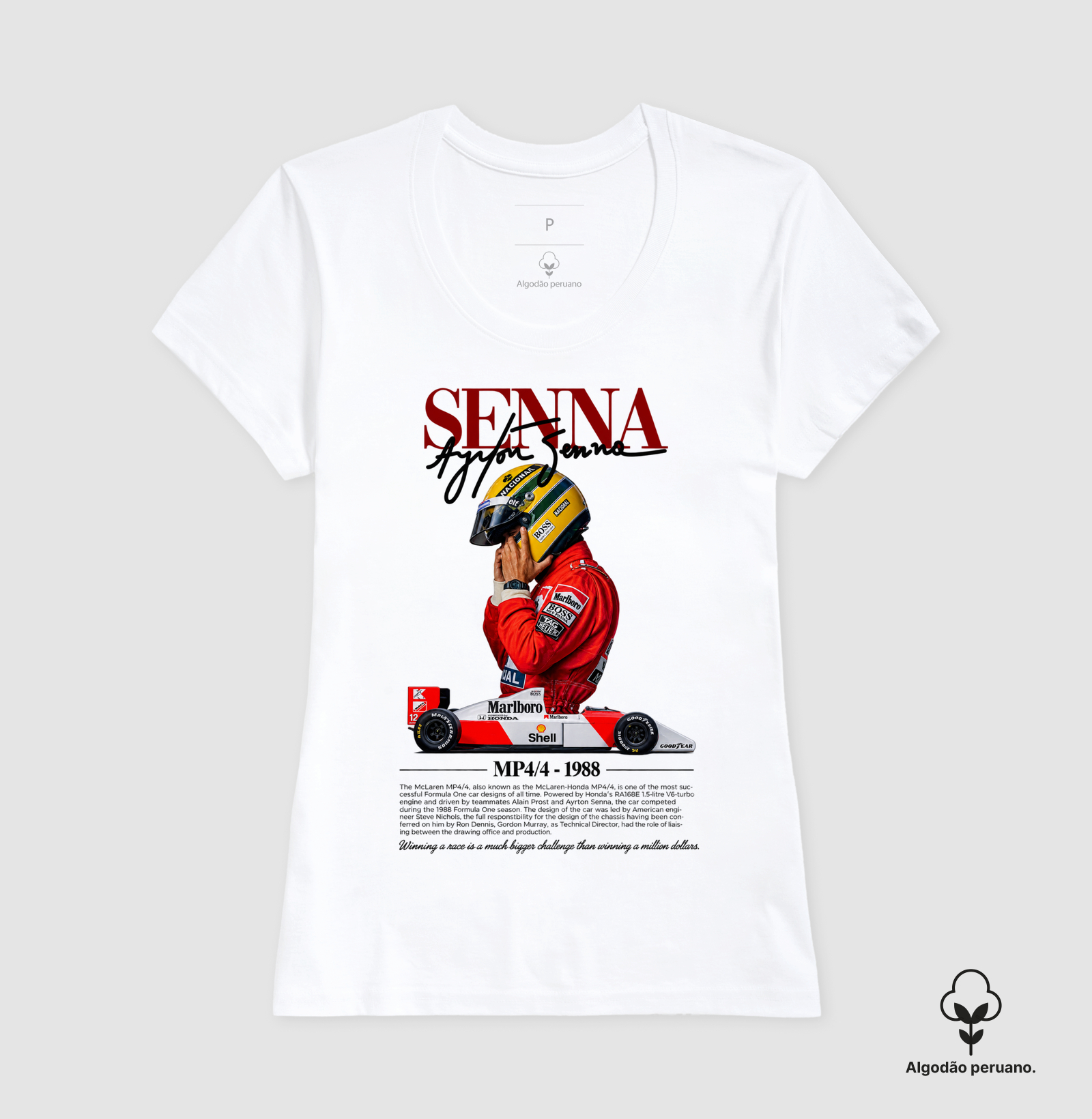 Senna MP4/4 - Imagem 5