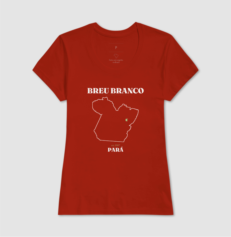 Breu Branco | Legado PA - Imagem 11