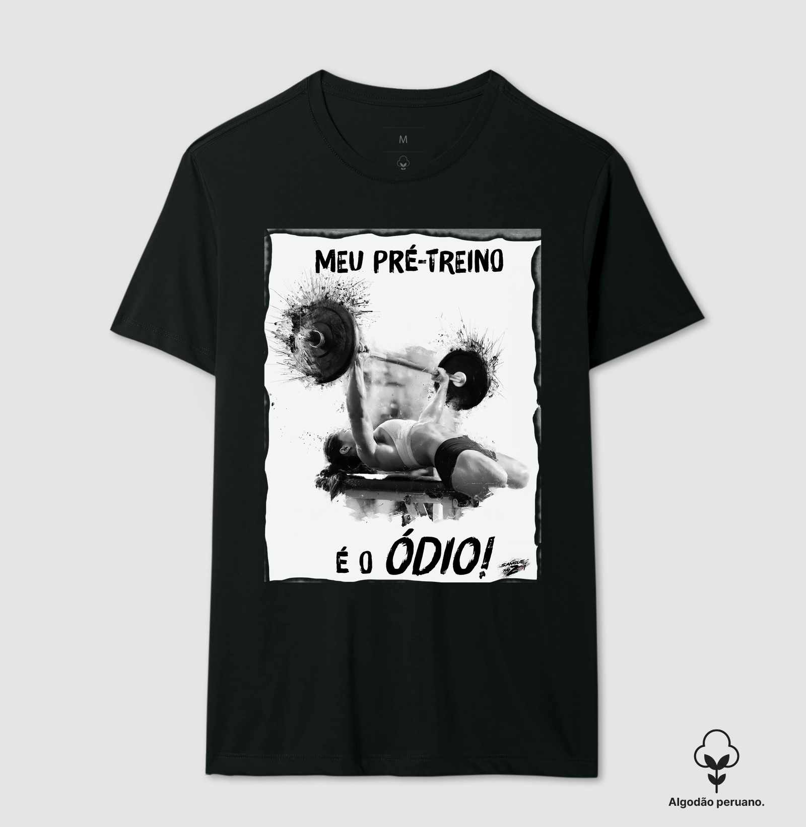 "MEU PRÉ-TREINO É O ÓDIO!". 03 - Imagem 2