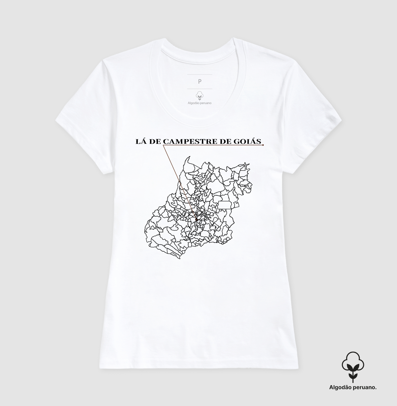 Campestre de Goiás | Origem GO - Imagem 2
