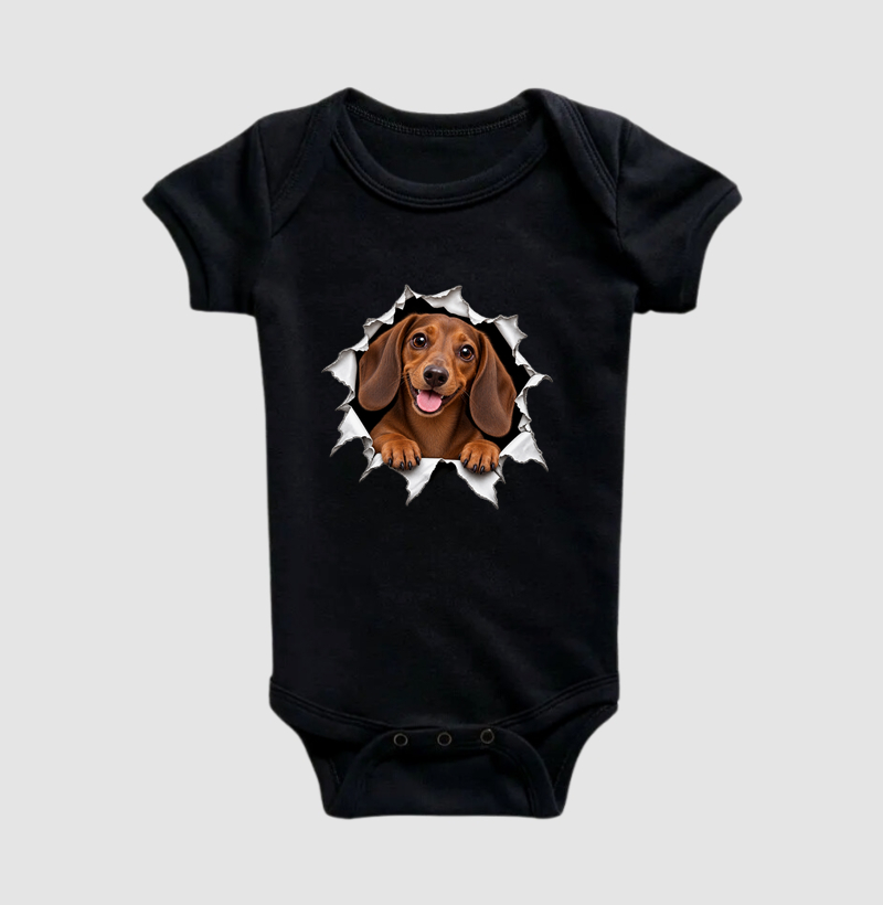 Dachshund Saindo Pelo Rasgo - Imagem 2