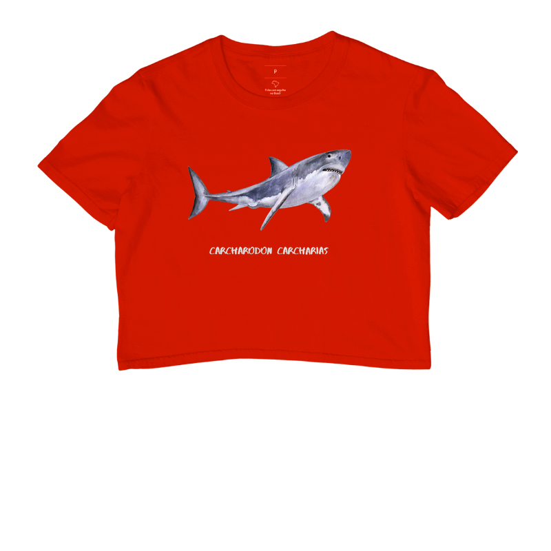 Carcharodon carcharias - Imagem 13