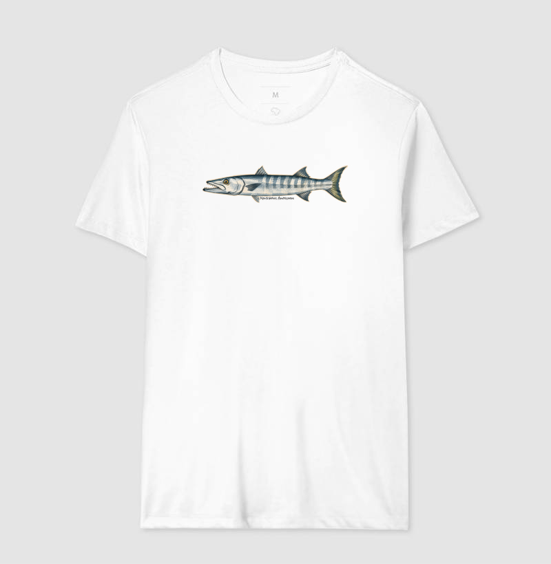 Barracuda - Imagem 4