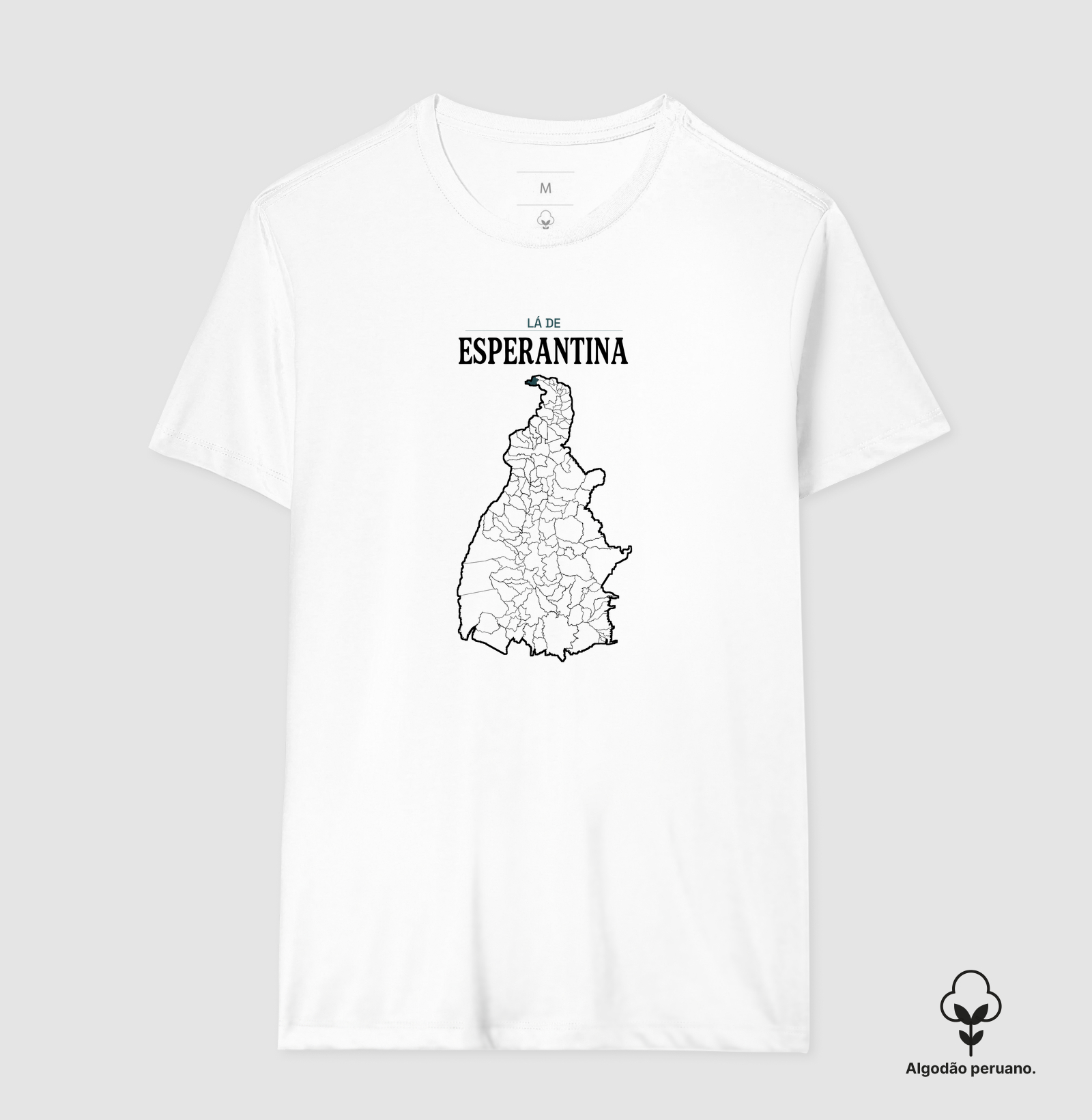 Esperantina | Território TO - Imagem 3