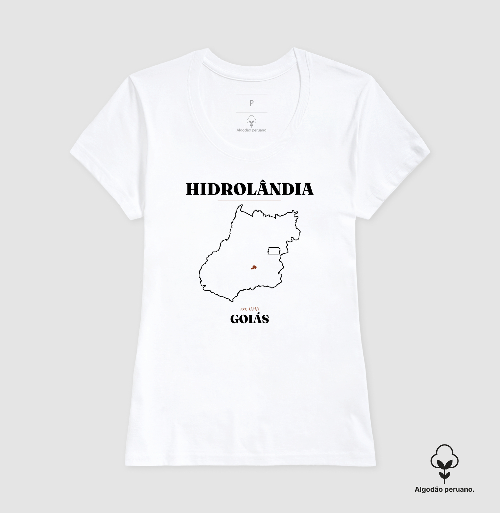 Hidrolândia | Legado GO - Imagem 5