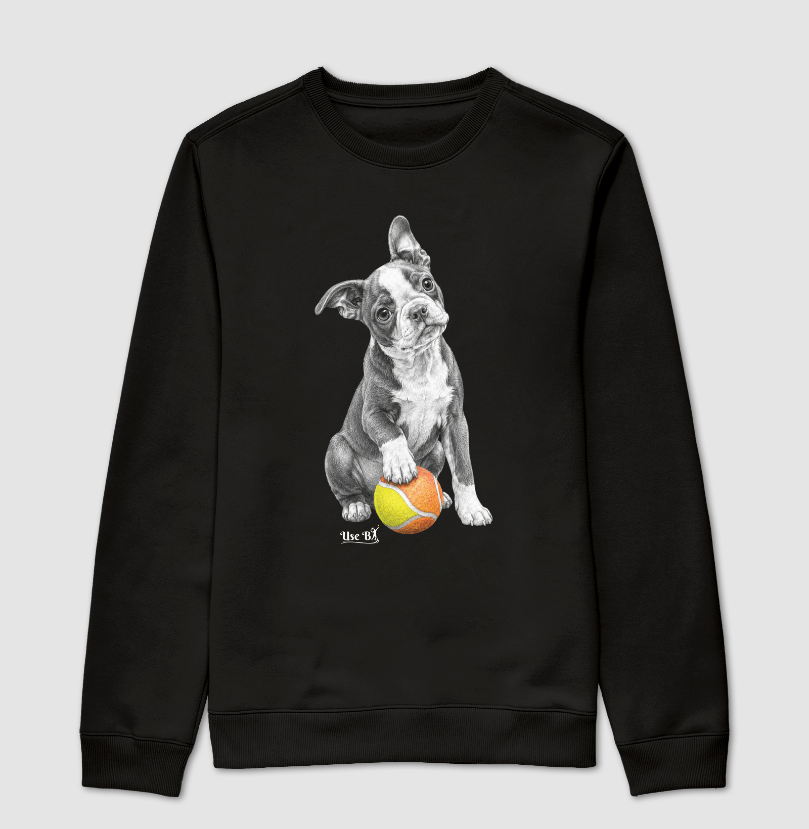 Boston Terrier do Beach - Imagem 4