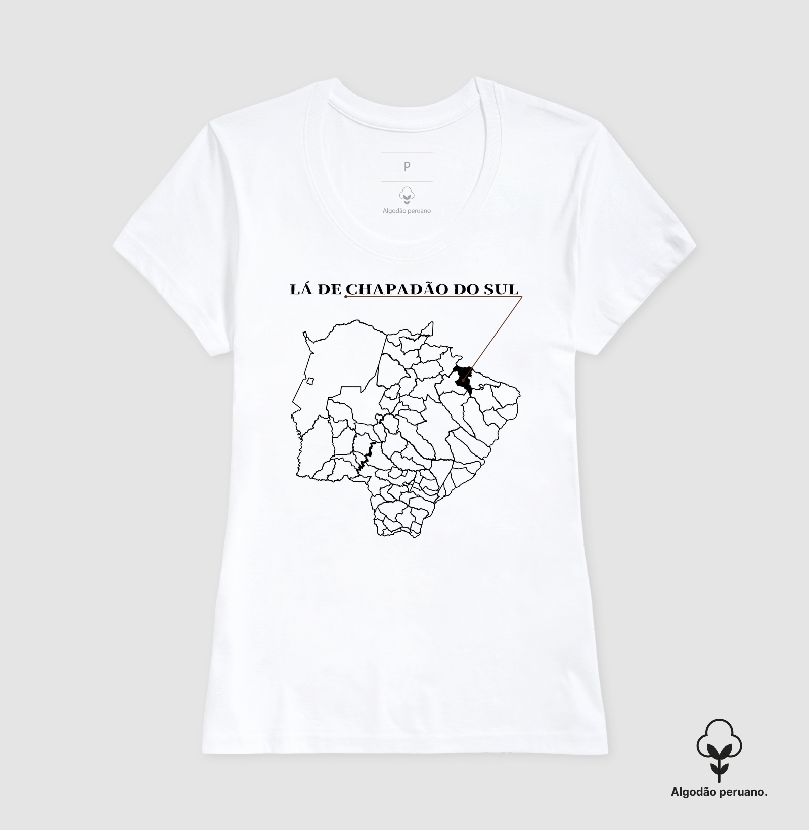 Chapadão do Sul | Origem MS - Imagem 4