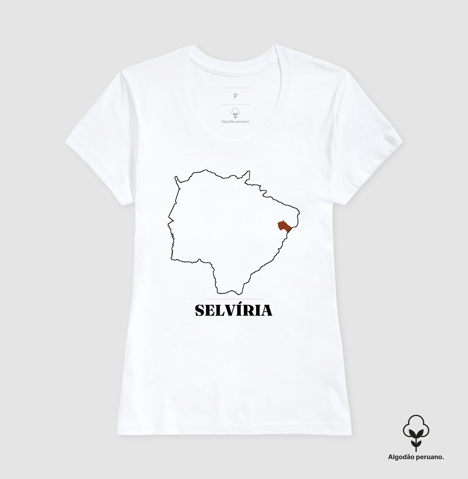 Selvíria | Traço MS - Imagem 8
