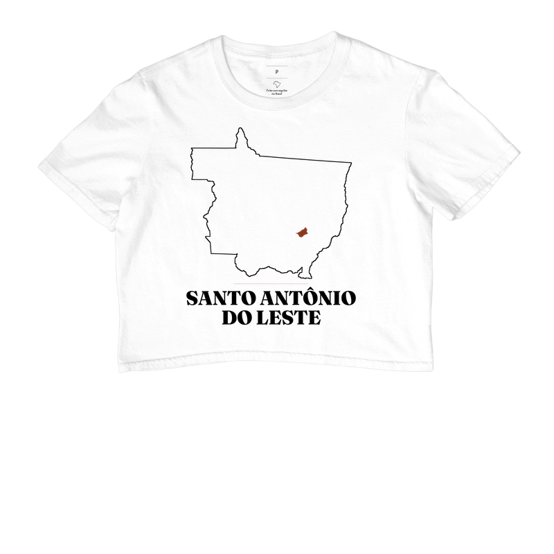 Santo Antônio do Leste | Traço MT - Imagem 3