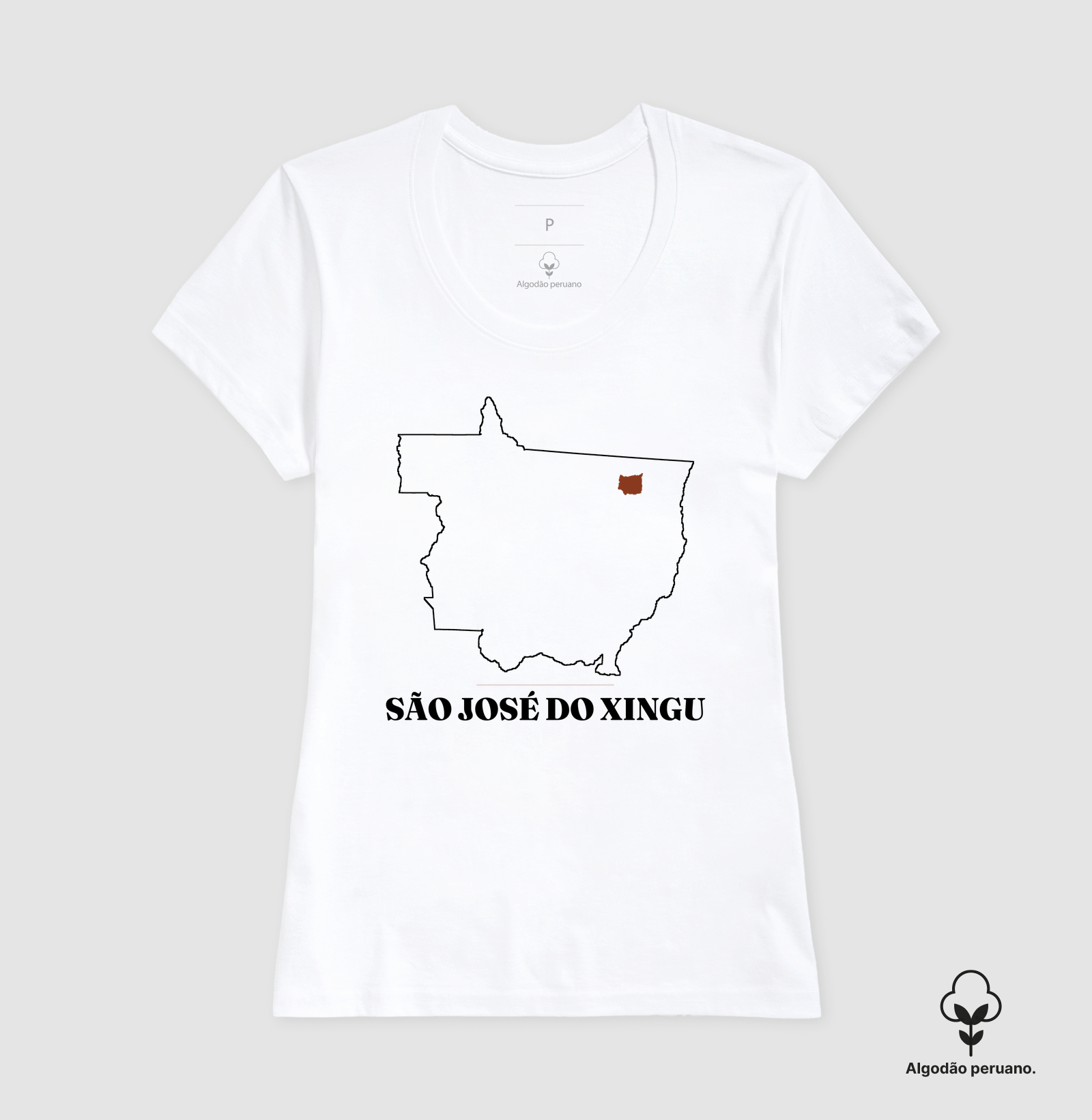 São José do Xingu | Traço MT - Imagem 5