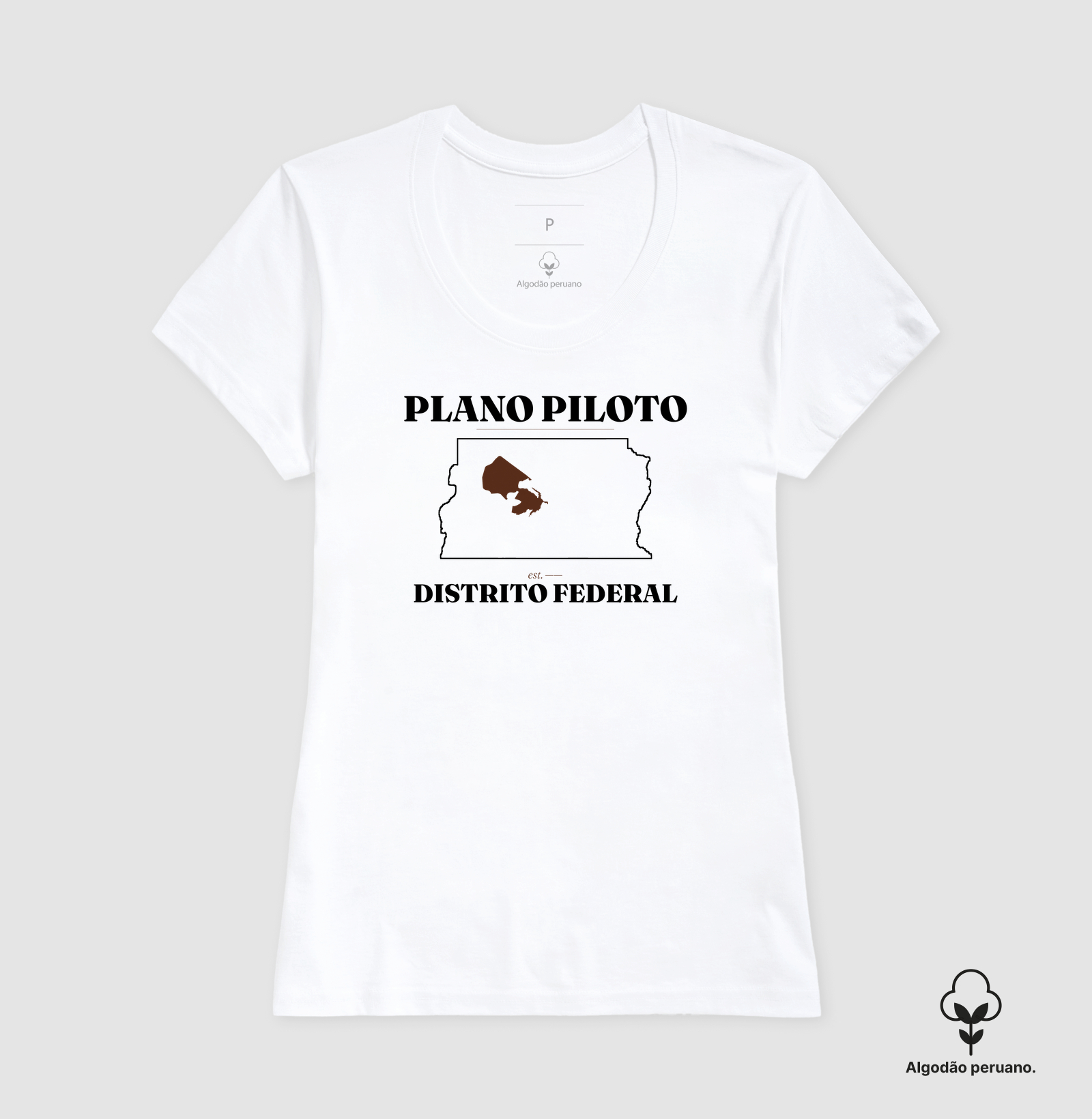 Plano Piloto | Legado DF - Imagem 7