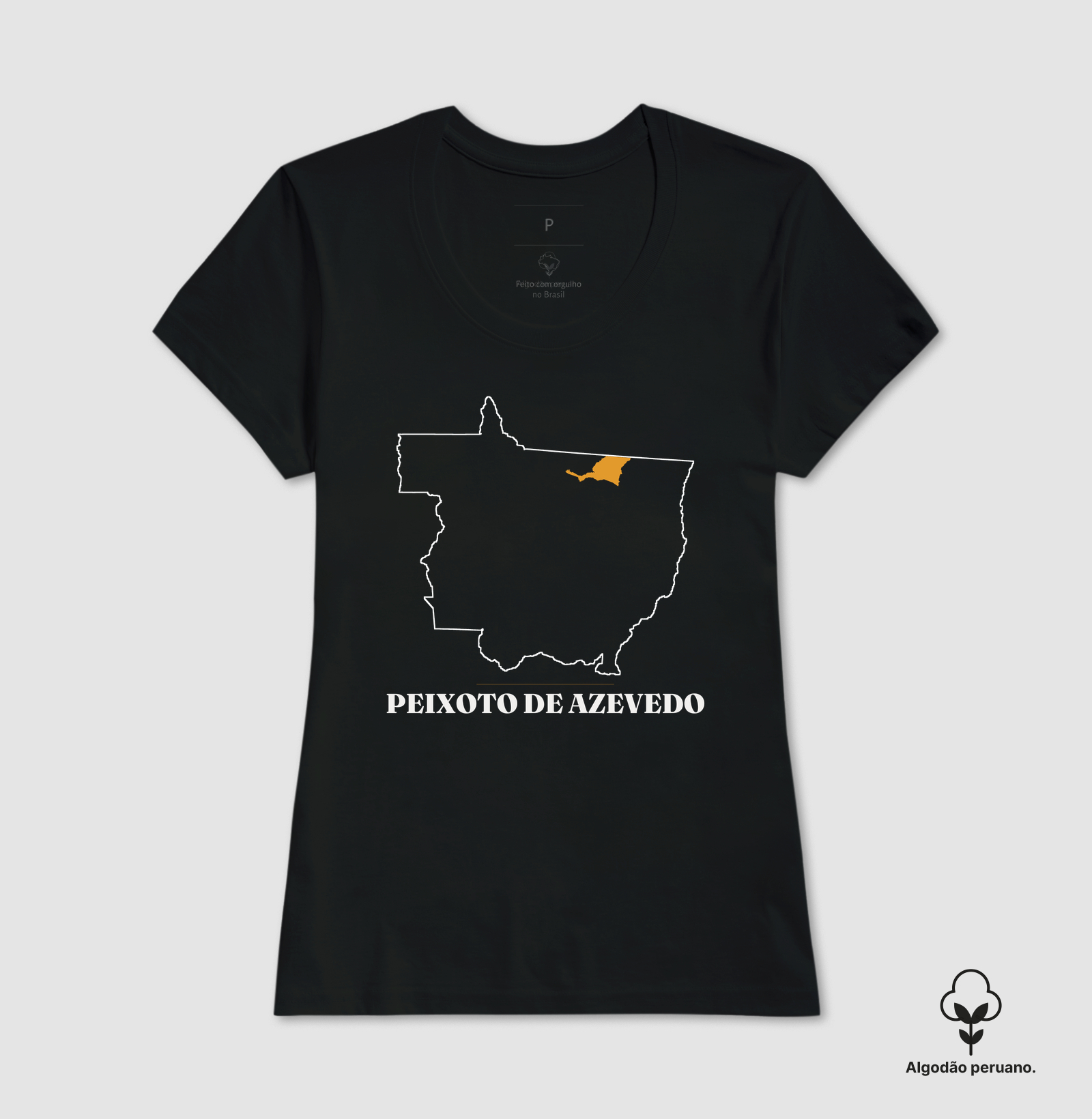 Peixoto de Azevedo | Traço MT - Imagem 8