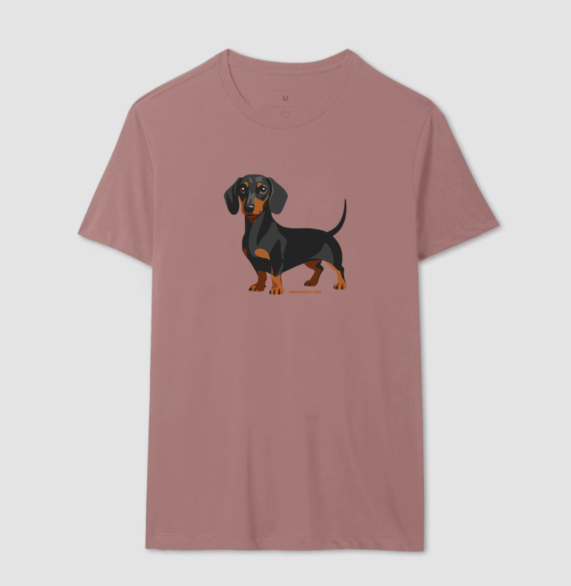 Dachshund - Imagem 8