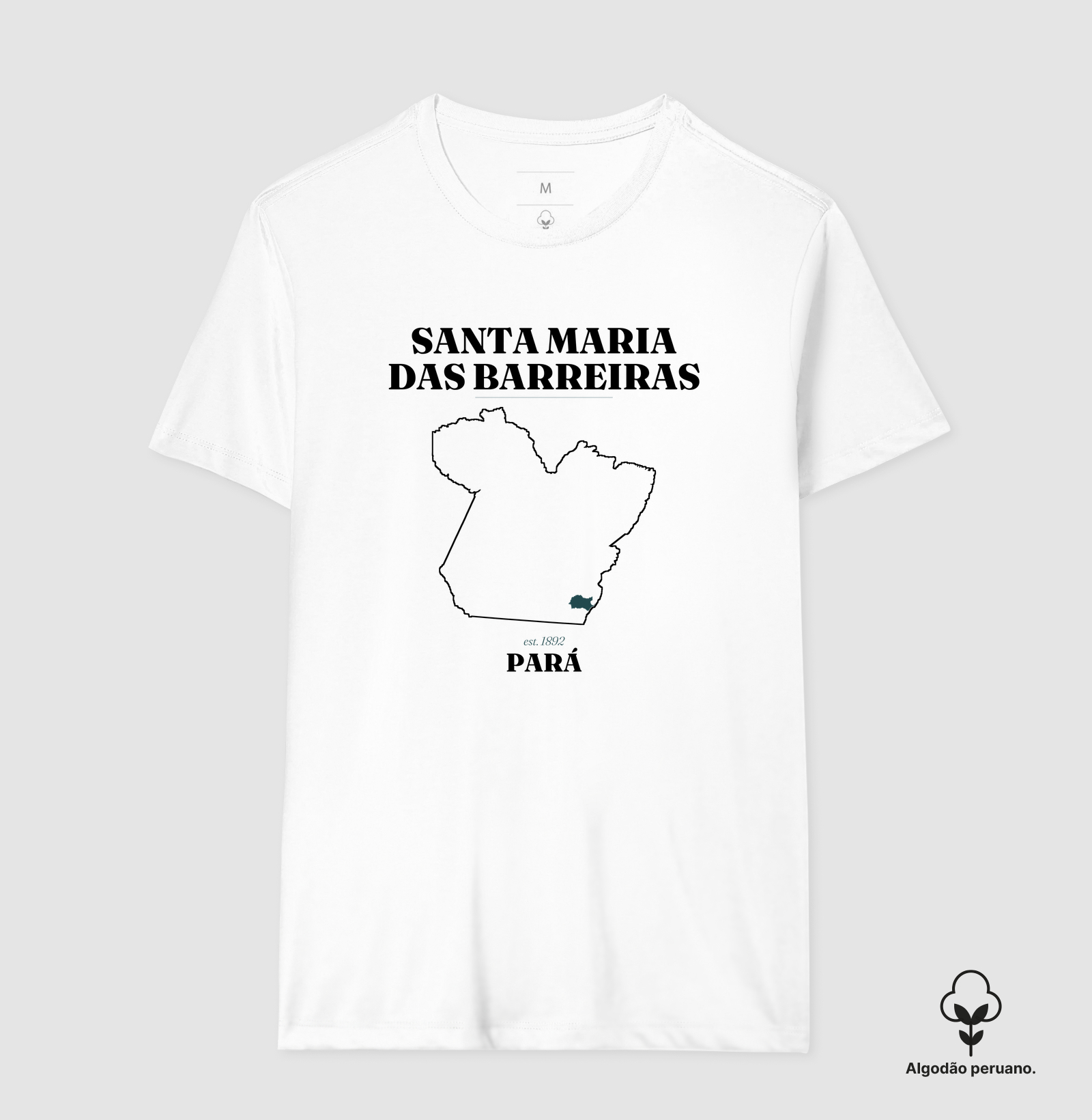 Santa Maria das Barreiras | Legado PA - Imagem 4