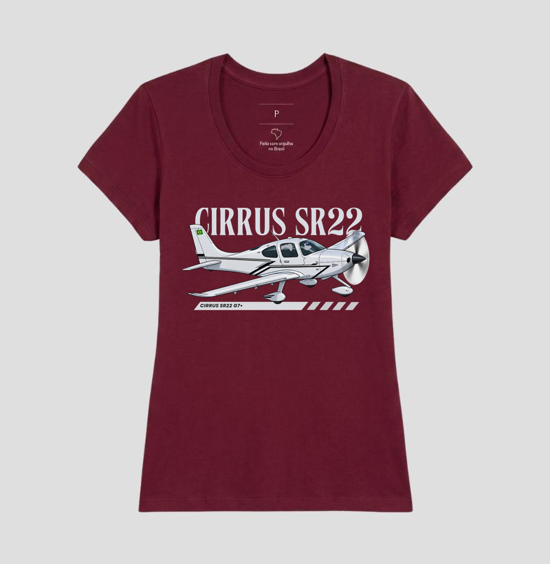 Cirrus SR22 G7+ - Imagem 17