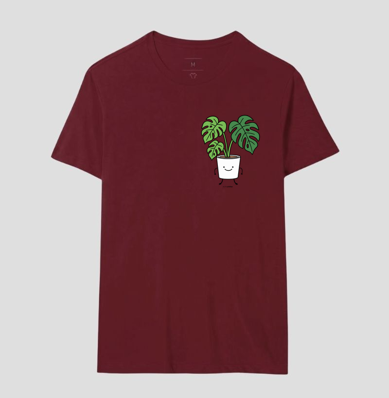 Monstera (Costela de Adão) - Imagem 15