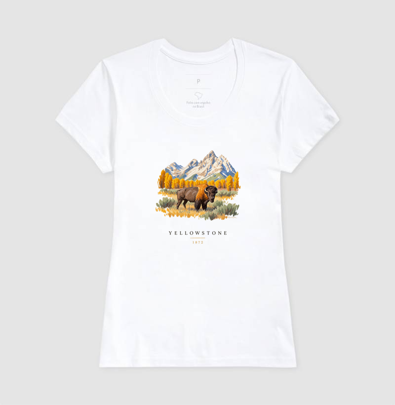 Bison - Yellowstone - Imagem 5