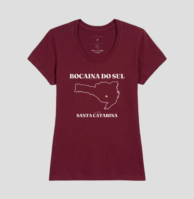 Bocaina do Sul | Legado SC - Imagem 19