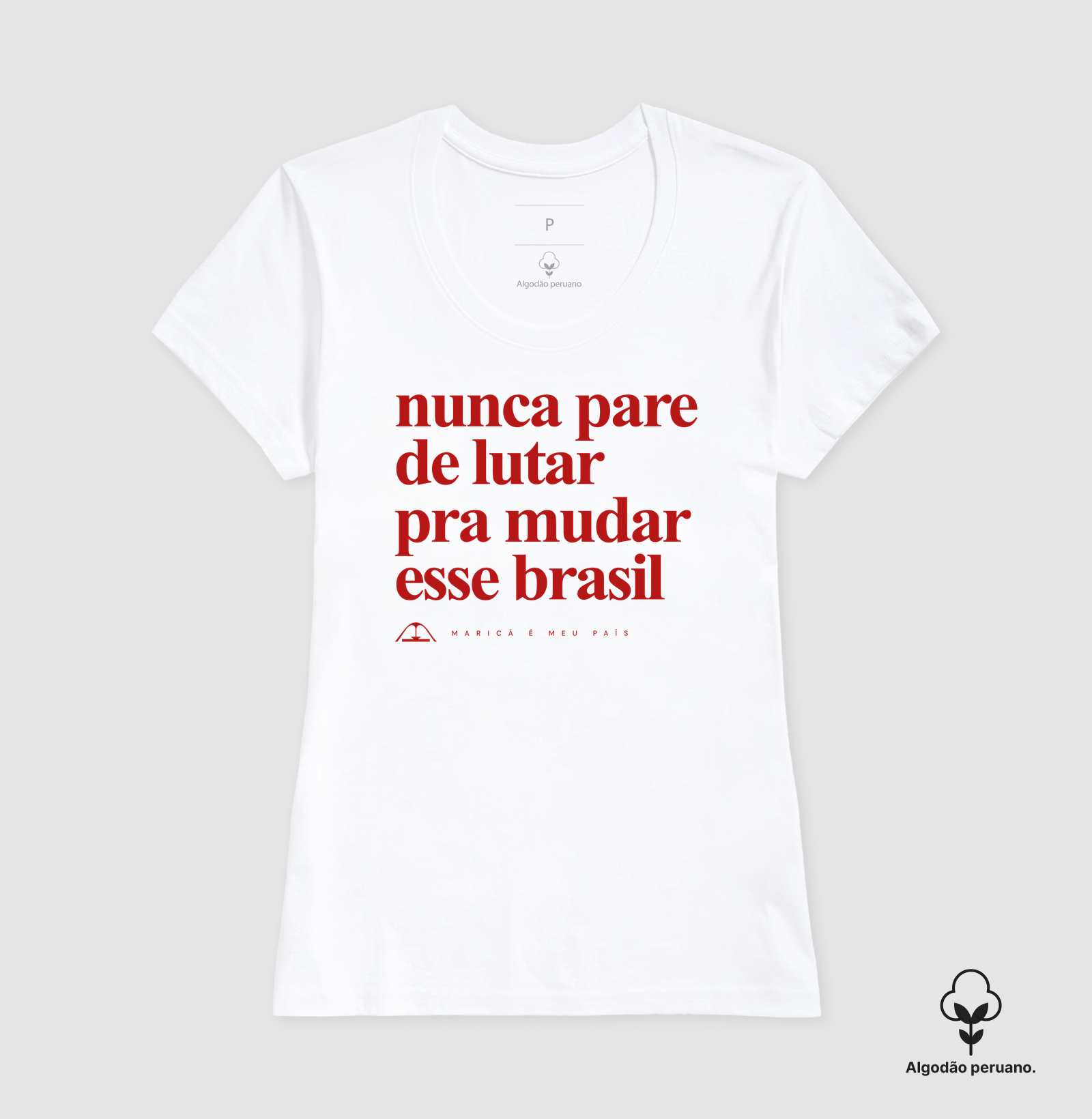 Nunca pare de lutar pra mudar esse Brasil - Imagem 7