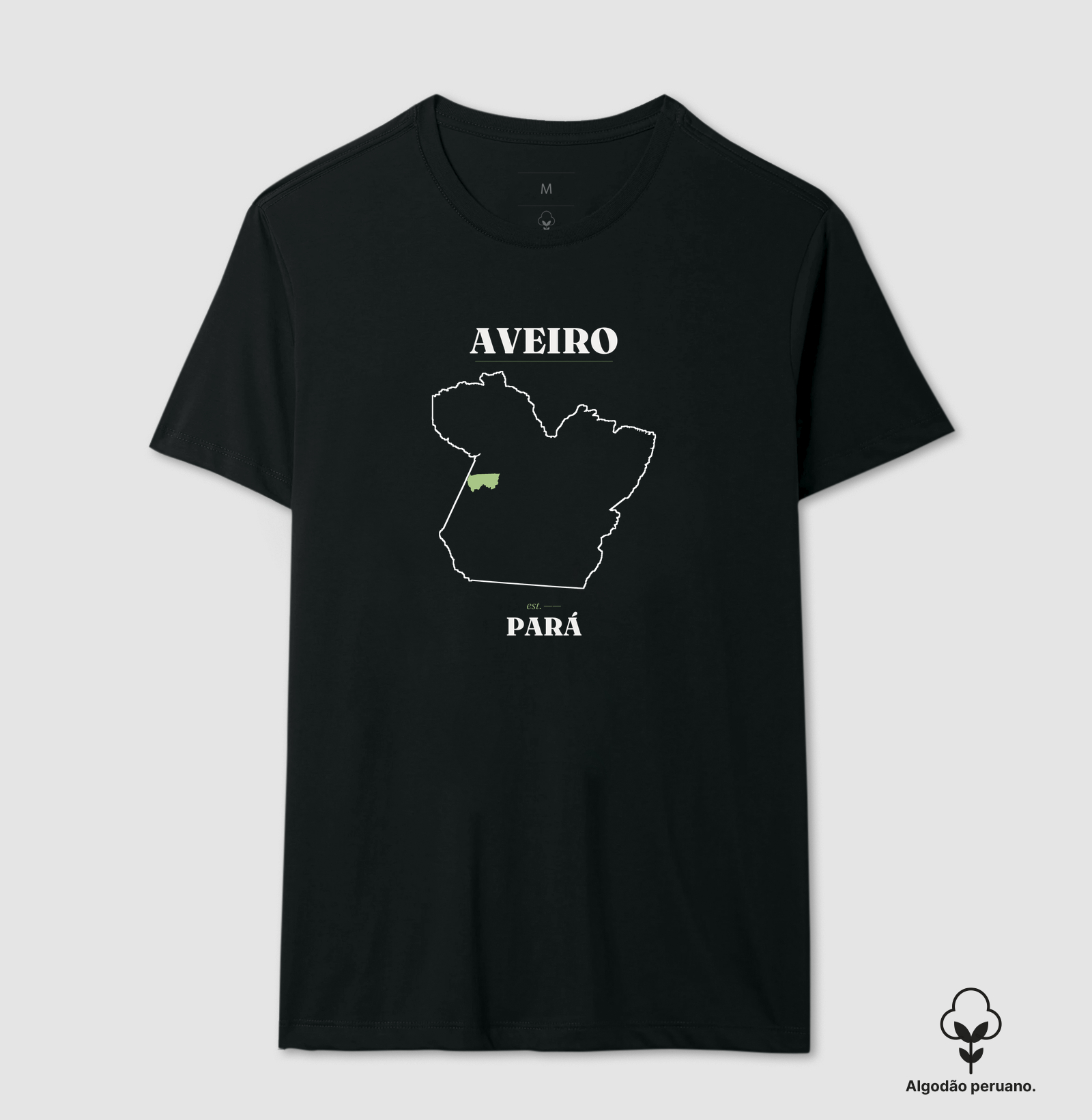 Aveiro | Legado PA - Imagem 2