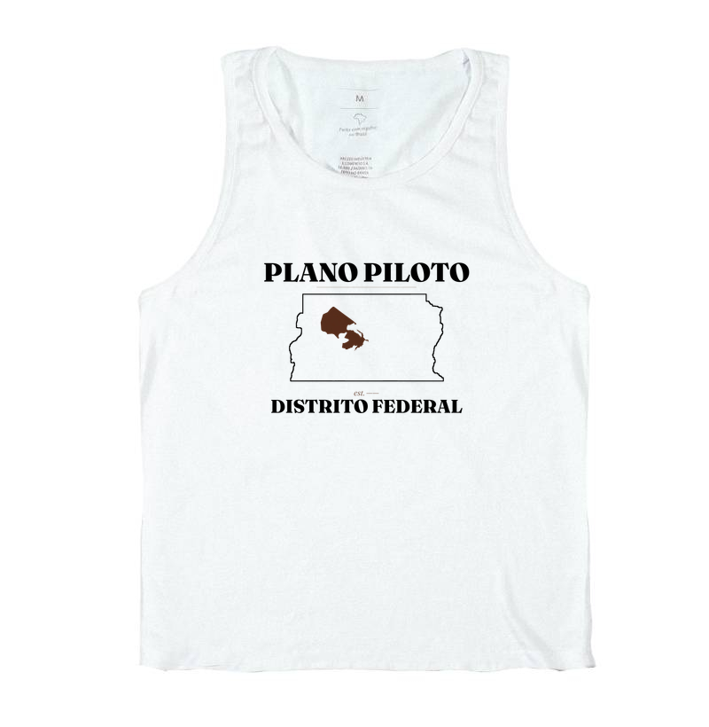 Plano Piloto | Legado DF - Imagem 2