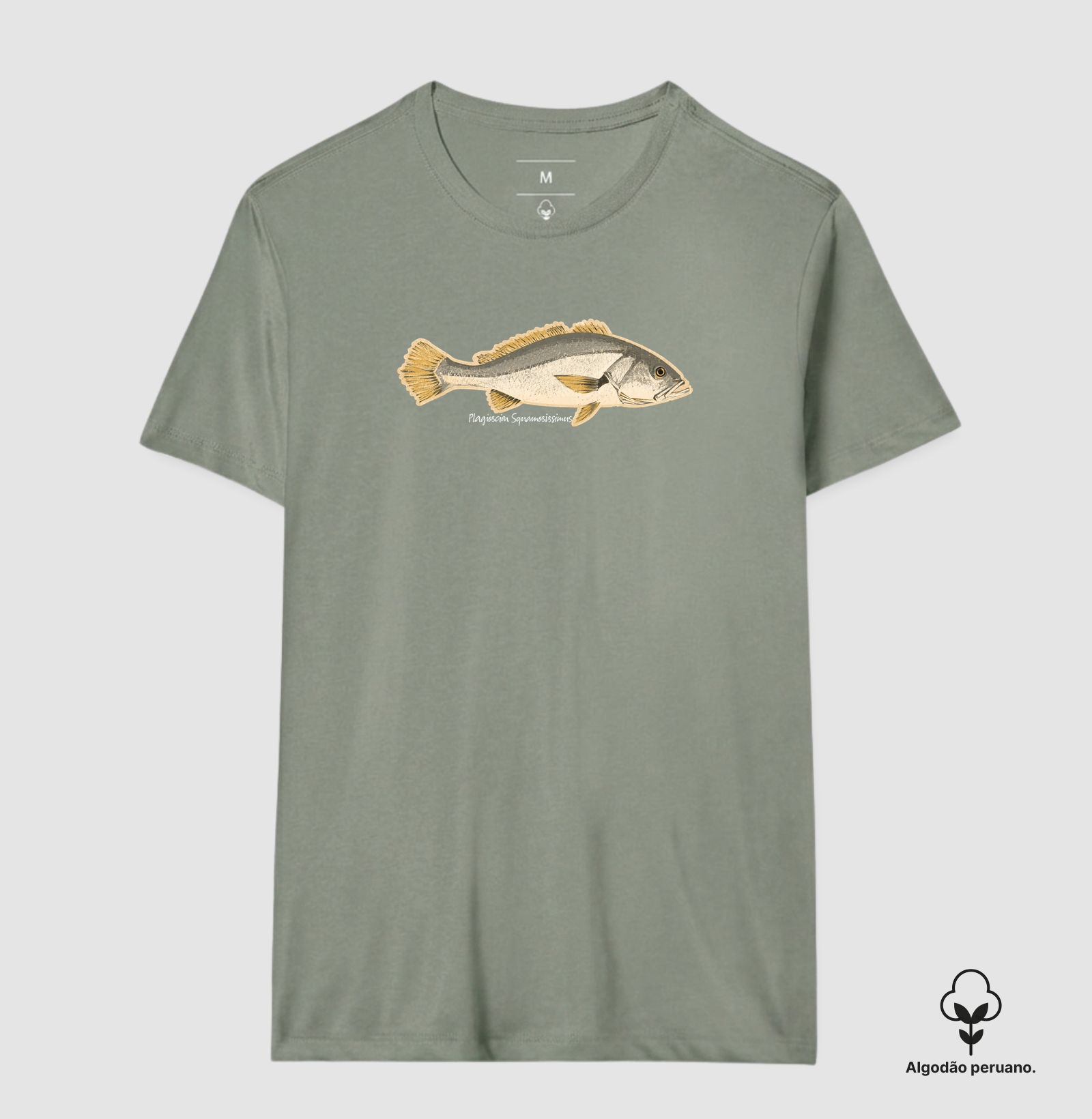 🎣 Corvina 🐟 - Imagem 6