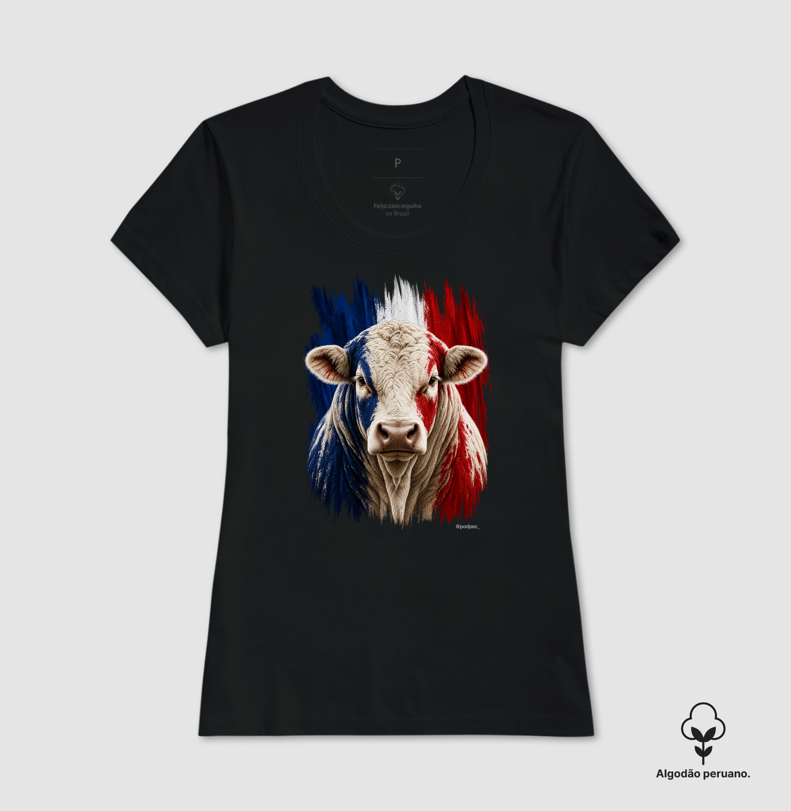 Charolês da França - Imagem 4