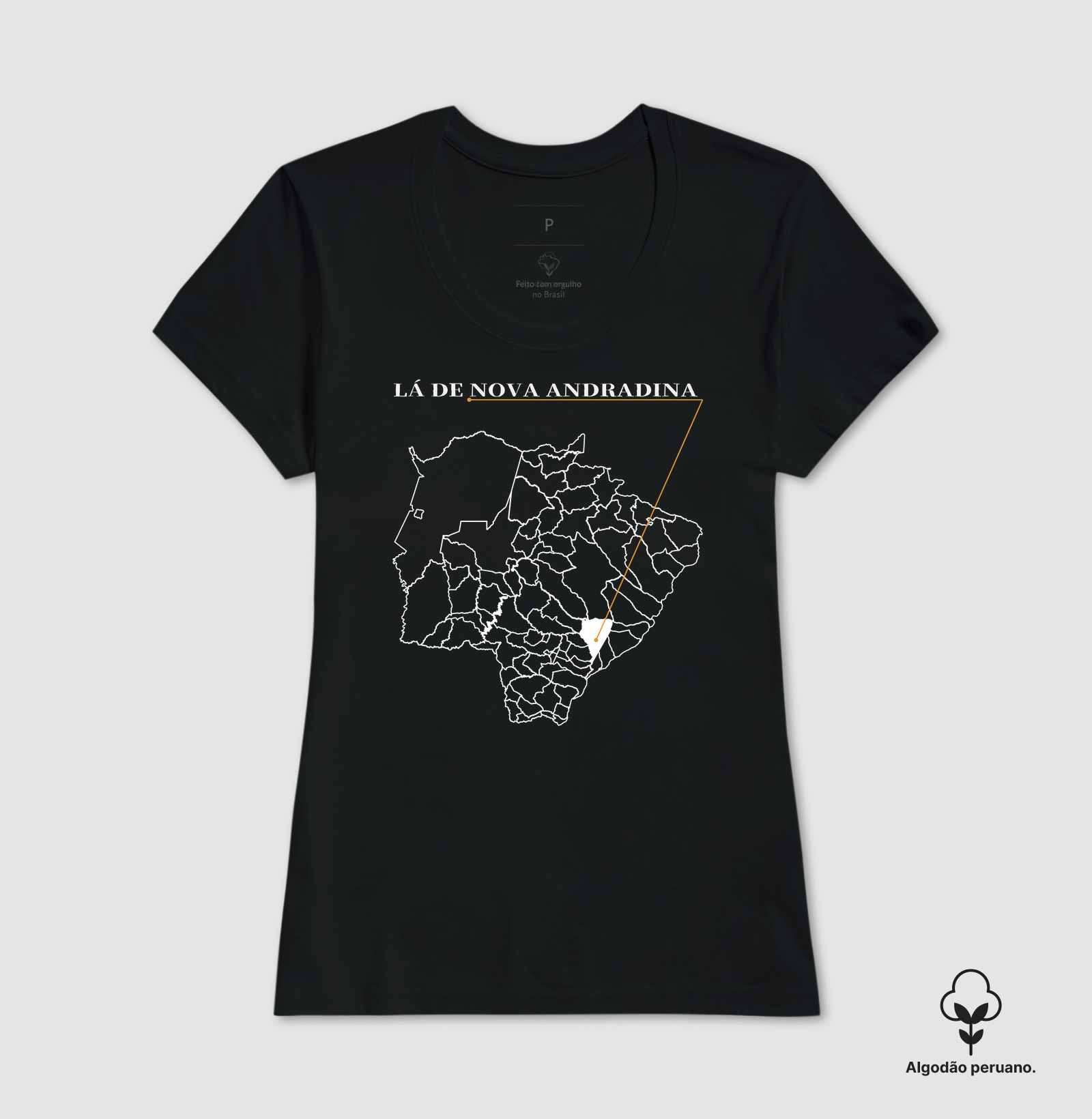 Nova Andradina | Origem MS - Imagem 2