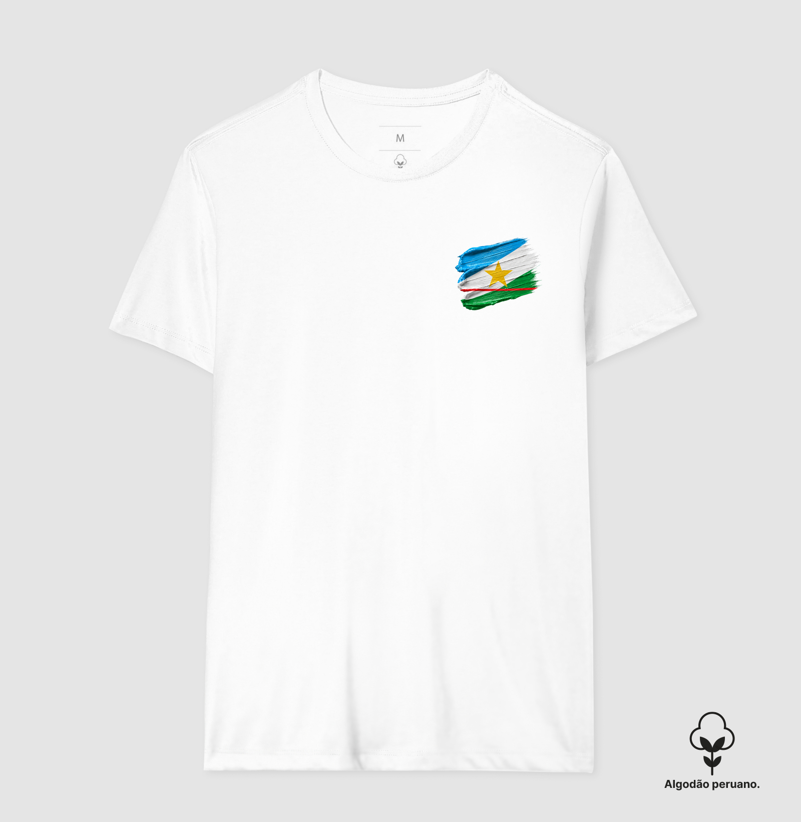 Roraima | Tela de Pintura - Imagem 2