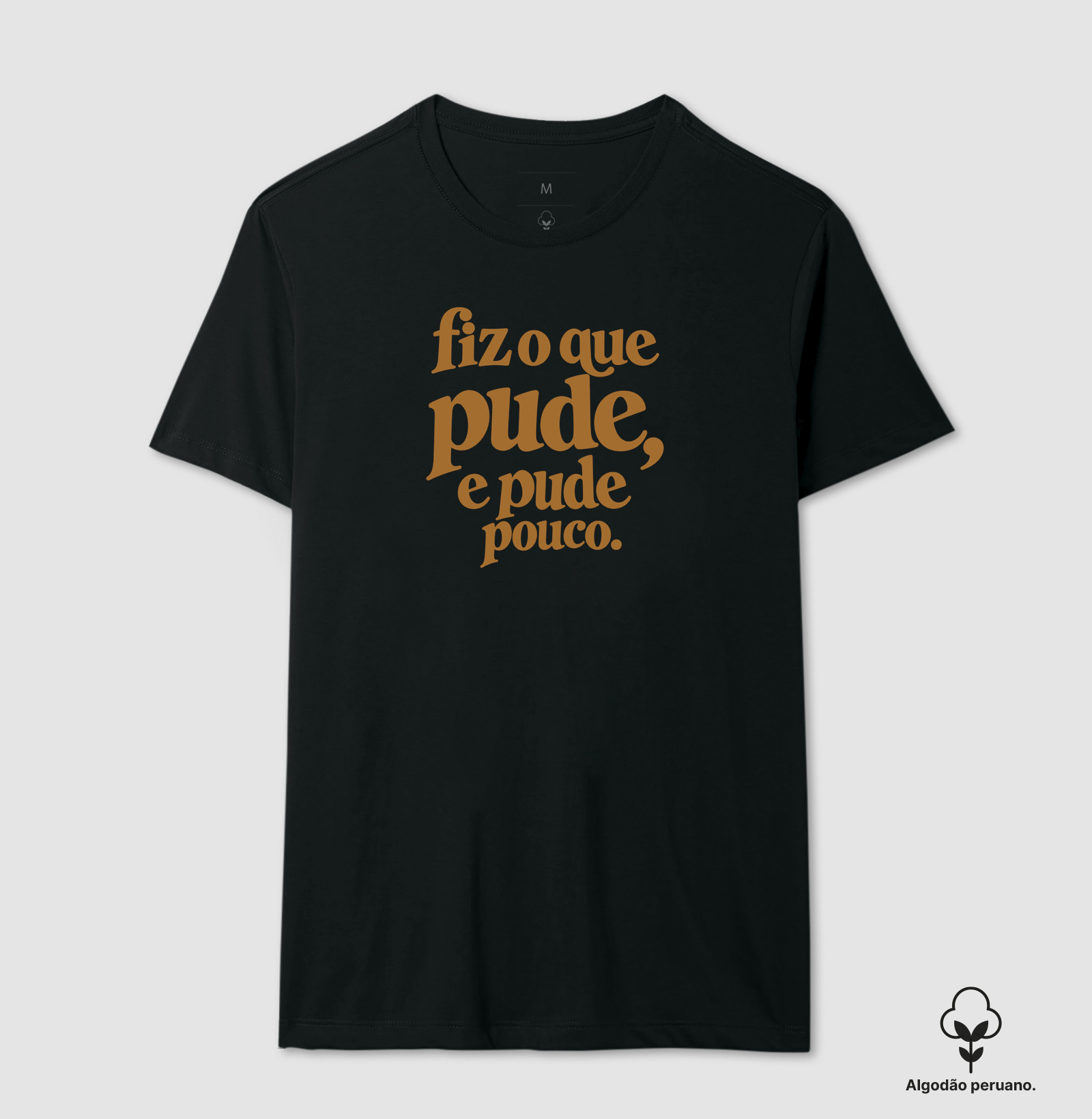 Fiz o que pude, e pude pouco. - Imagem 7