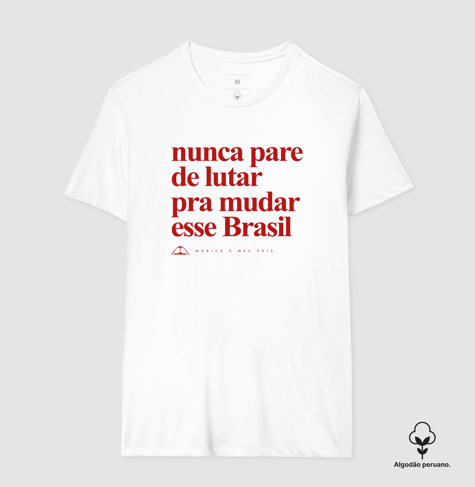 Nunca pare de lutar pra mudar esse Brasil - Imagem 6