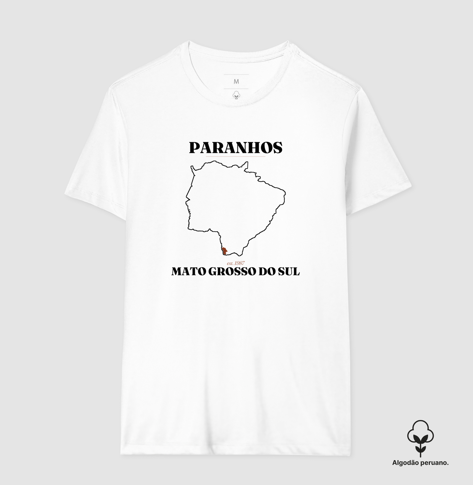 Paranhos | Legado MS - Imagem 6