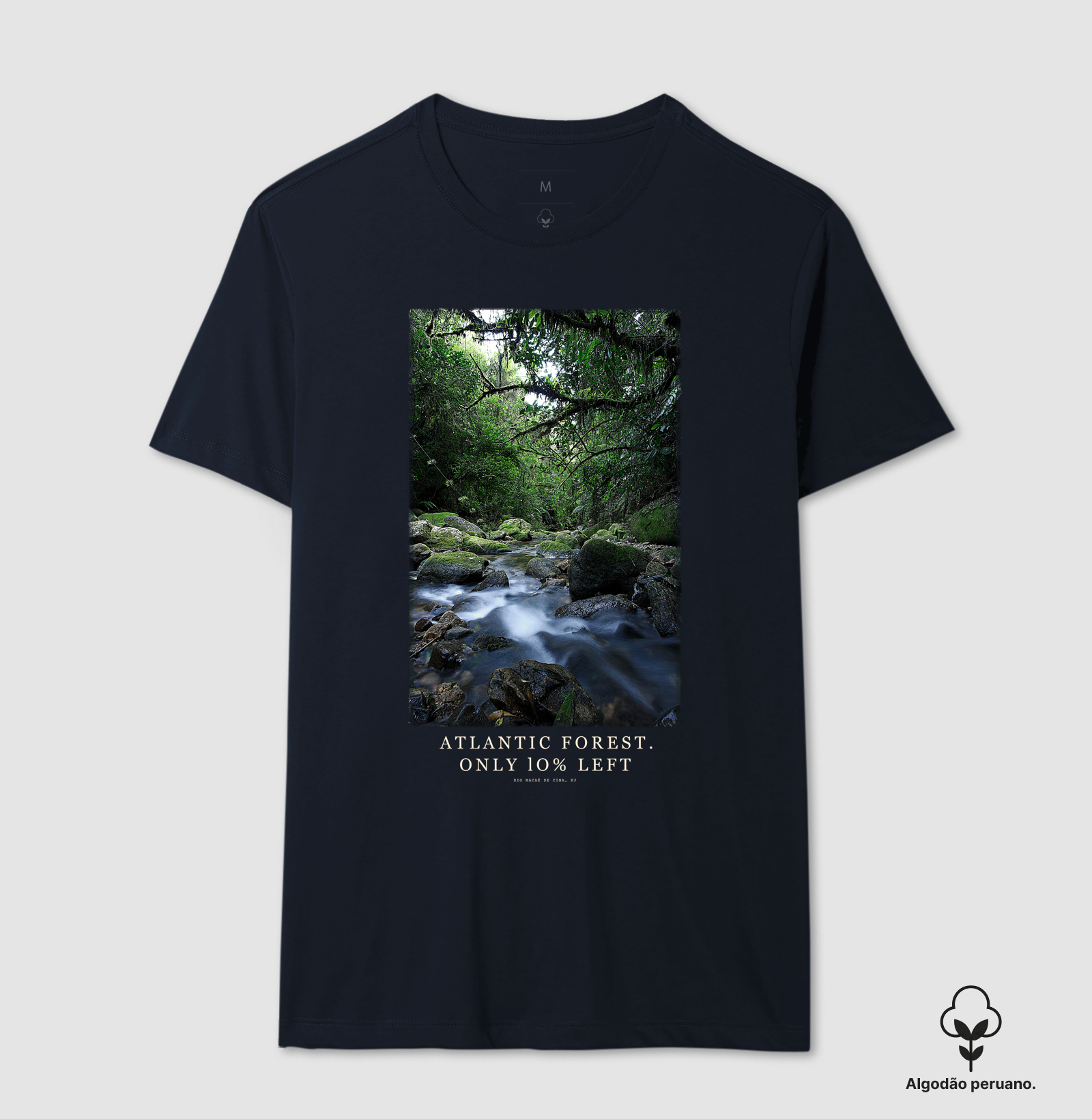 Atlantic Forest - Imagem 4