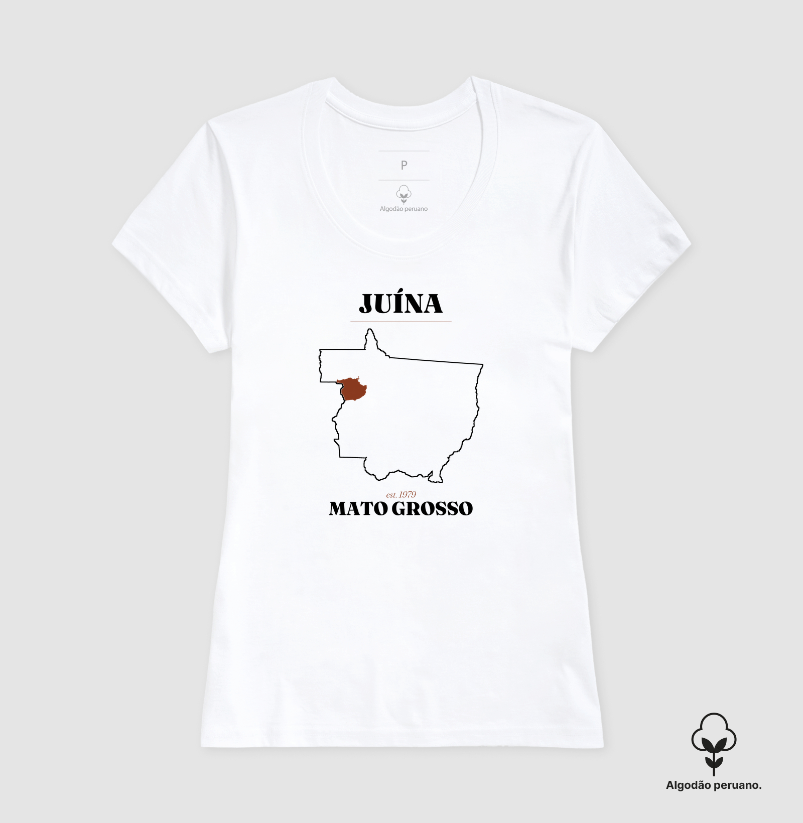 Juína | Legado MT - Imagem 4