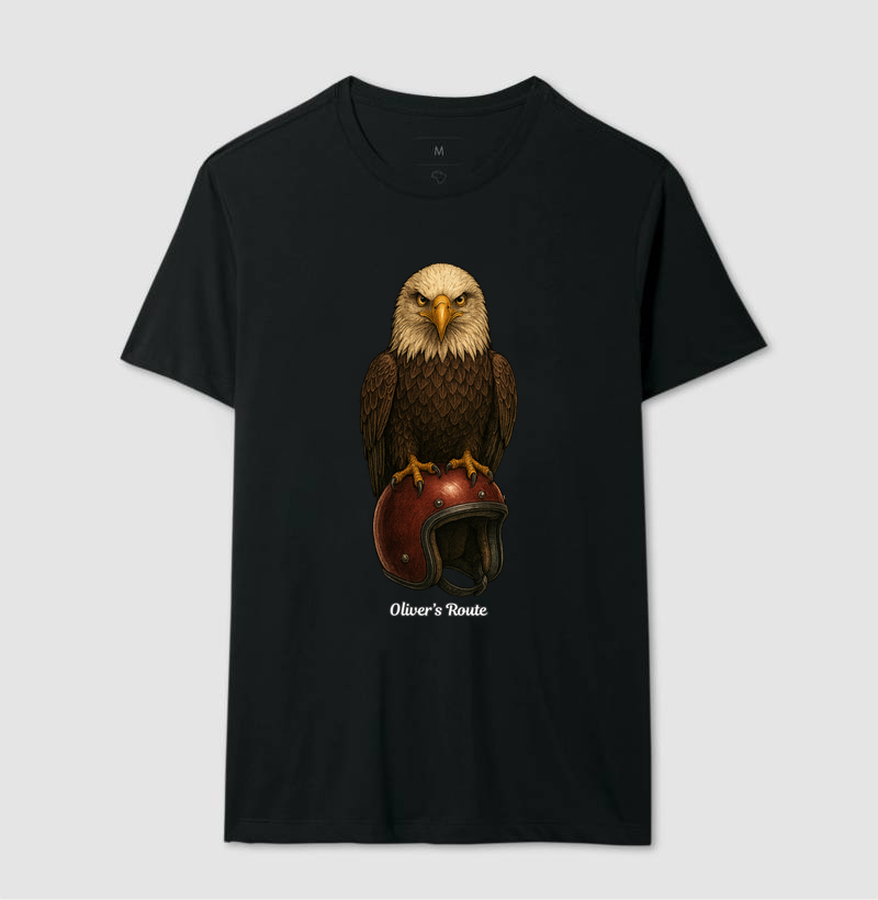 The Eagle and the Helmet - Imagem 2