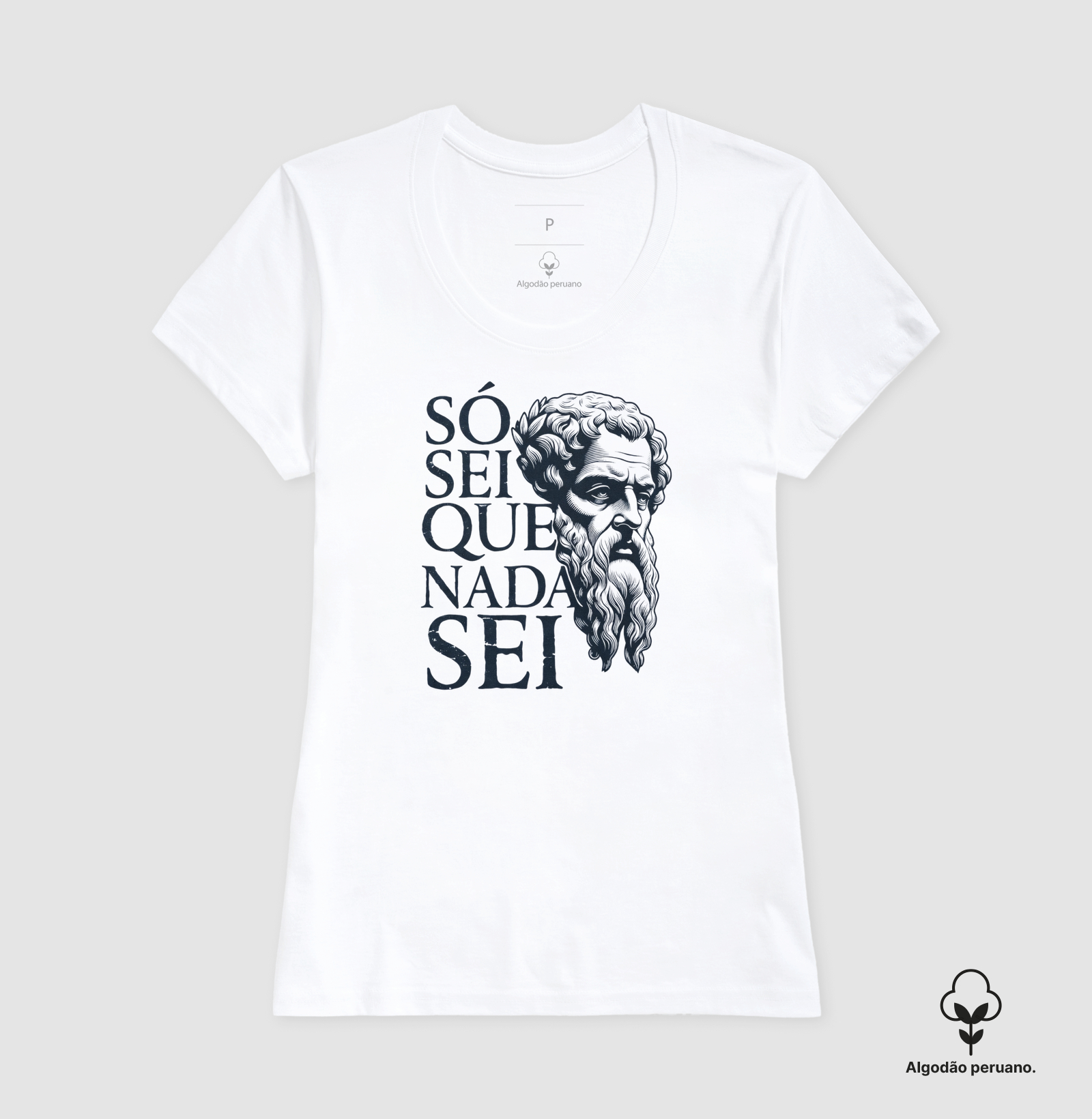 Filosofia de Sócrates "Só sei que nada sei" - Imagem 6
