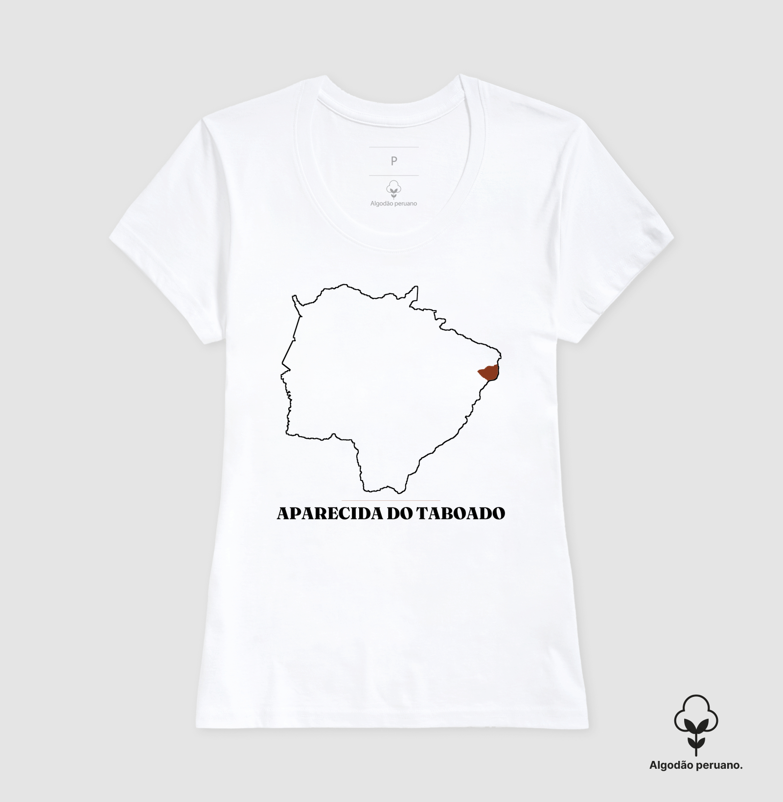 Aparecida do Taboado | Traço MS - Imagem 4
