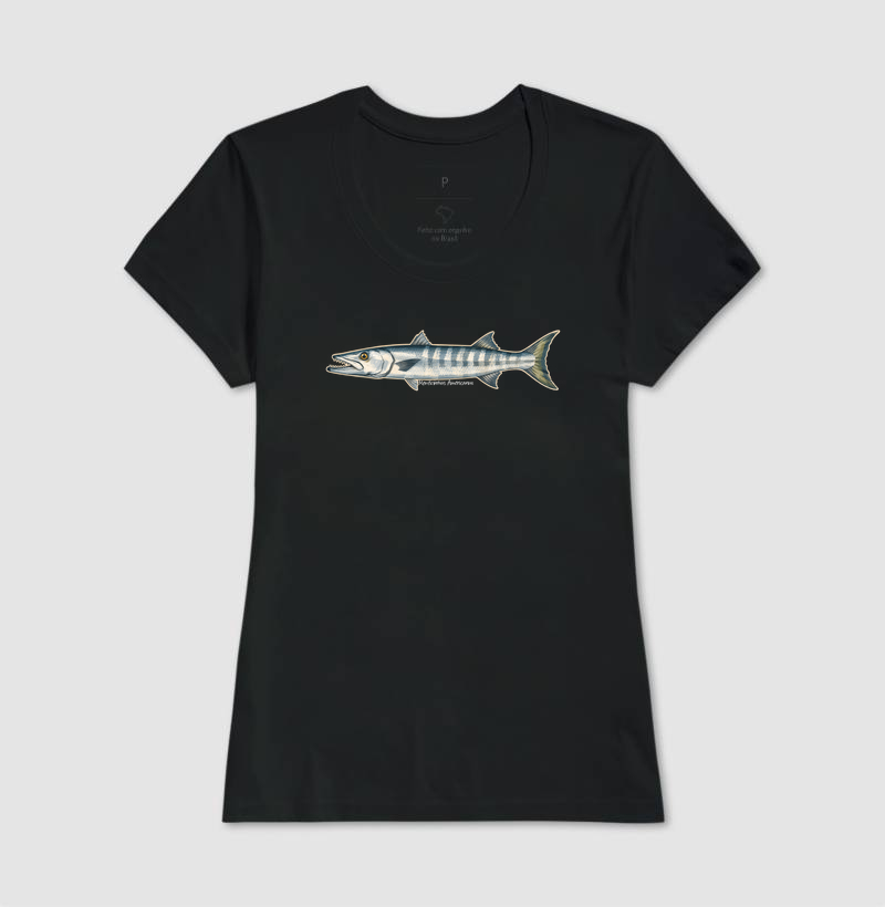 Barracuda - Imagem 3