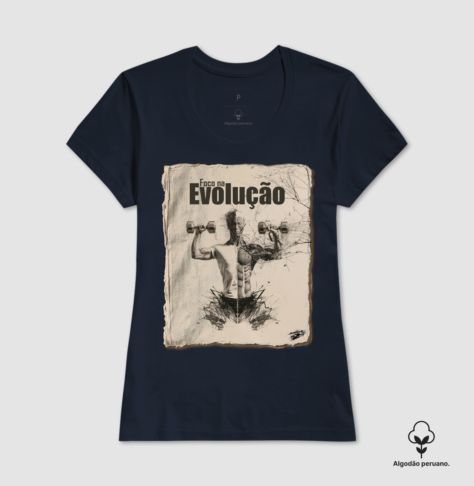 Foca na Evolução - Imagem 9