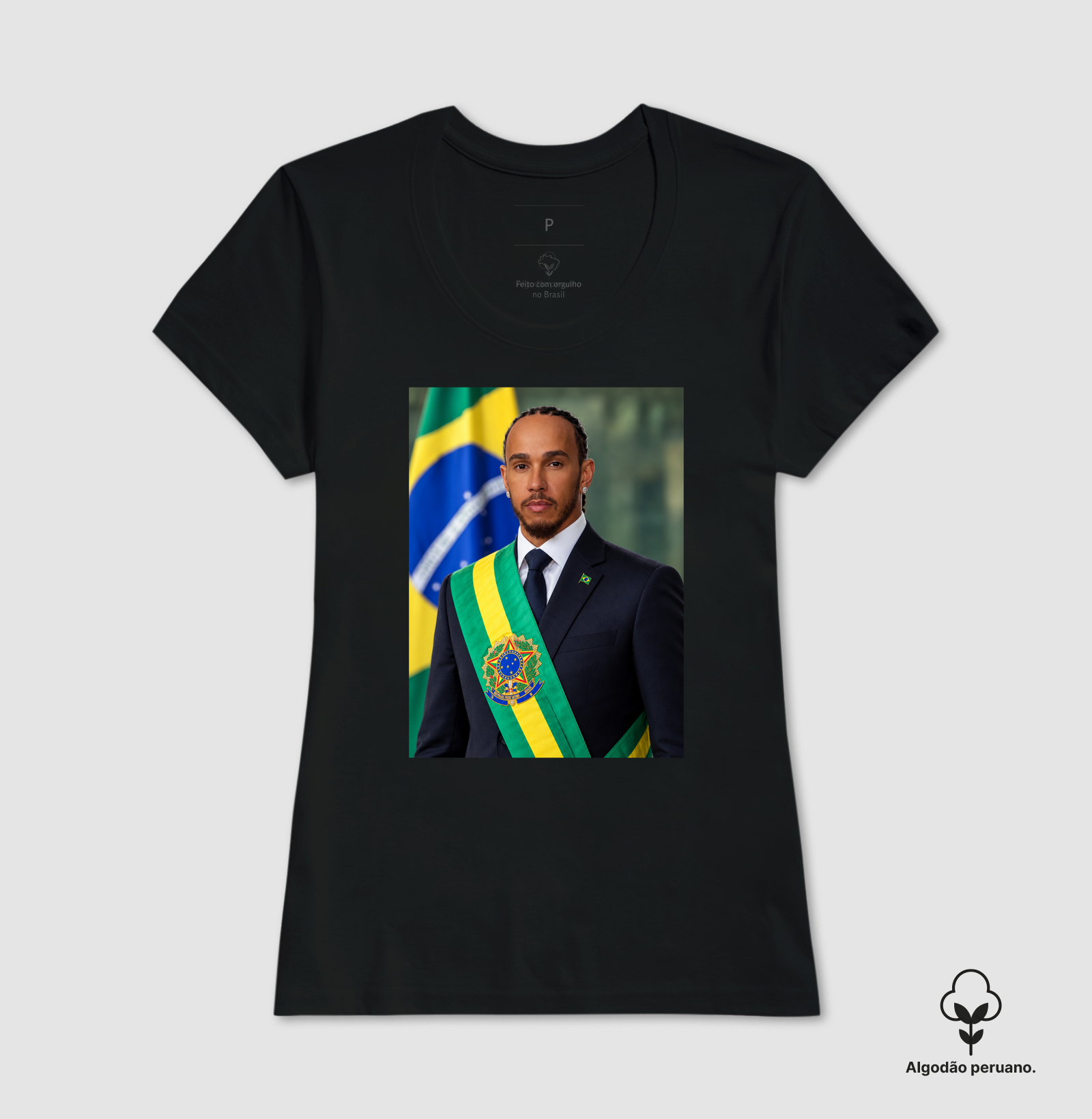 Hamilton Presidente - Imagem 3