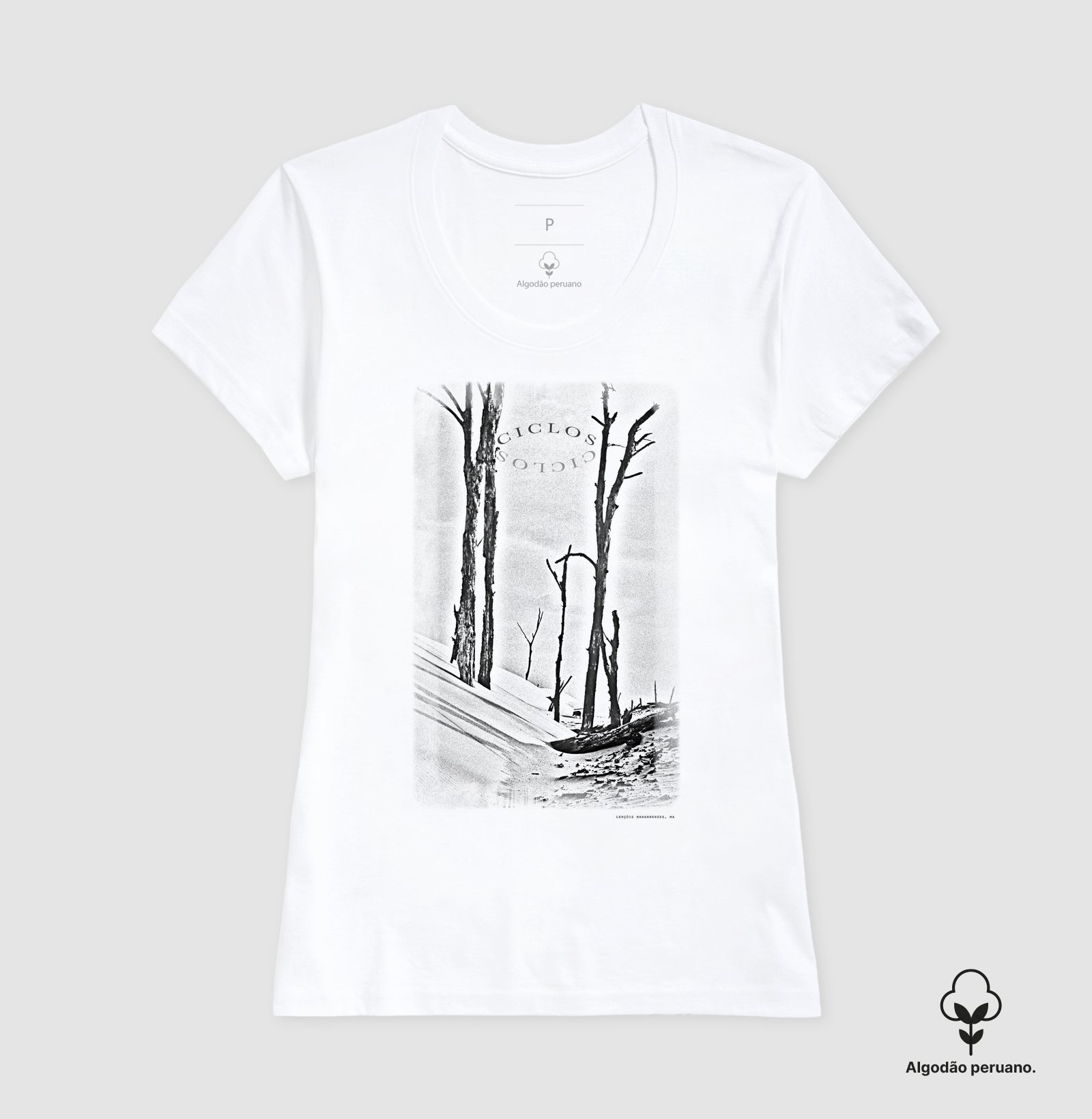 Ciclos - Imagem 3