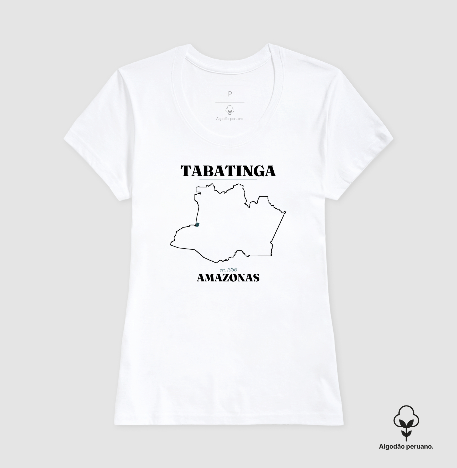 Tabatinga | Legado AM - Imagem 7