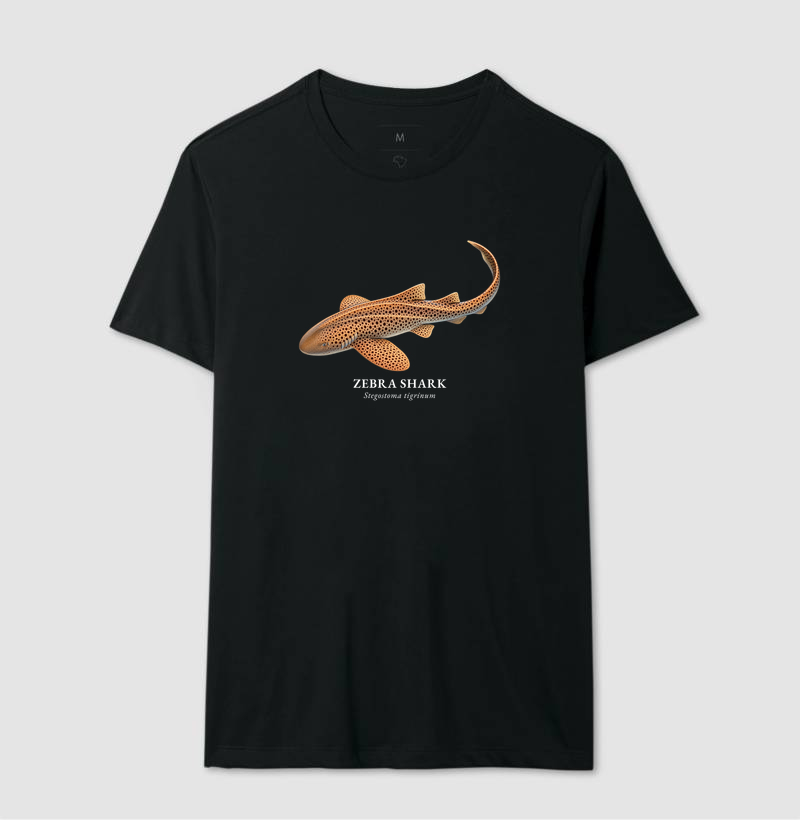 Zebra Shark - Imagem 3