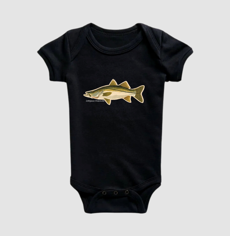 Robalo - Imagem 2