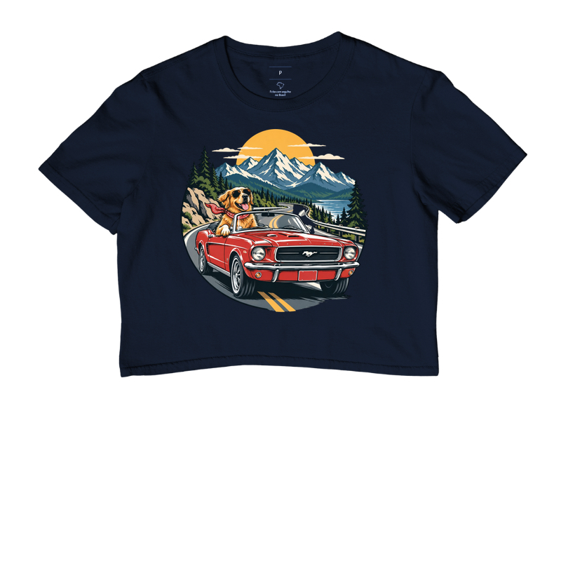 Road Trip - Imagem 4