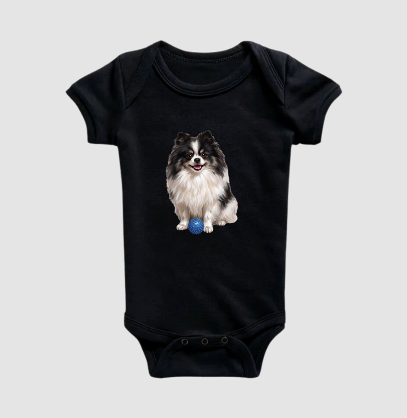 Pomerânia Preta e Branca (Spitz Alemão) - Imagem 2